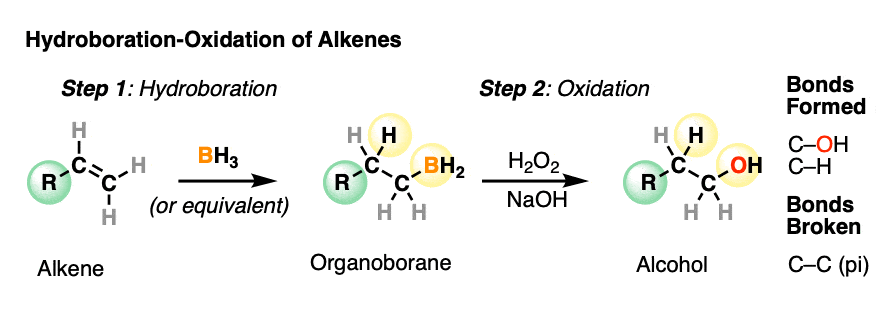 <p>Reactants: </p><p>1. BH3/THF (solvent, not important) </p><p> 2.H2O2 / NaOH</p><p><u>two-step, Anti-Markovnikov</u></p><p>What happens:</p><ol><li><p> alkene is treated with BH<sub>3</sub> breaking the C=C pi bond and forms a C-H and C-B bond.</p></li><li><p> H<sub>2</sub>O<sub>2</sub> (oxidant) is added in the presence of NaOH or KOH (strong base). A rearrangement occurs where the C-B bond is broken and a new C-OH bond is formed.</p></li></ol><p></p><p><span>C-OH bond attaches to the<strong> </strong><u>less substituted carbon</u> of the alkene with the C-H bond being&nbsp;formed on the </span><u>more substituted</u><span><u> carbon</u></span></p>
