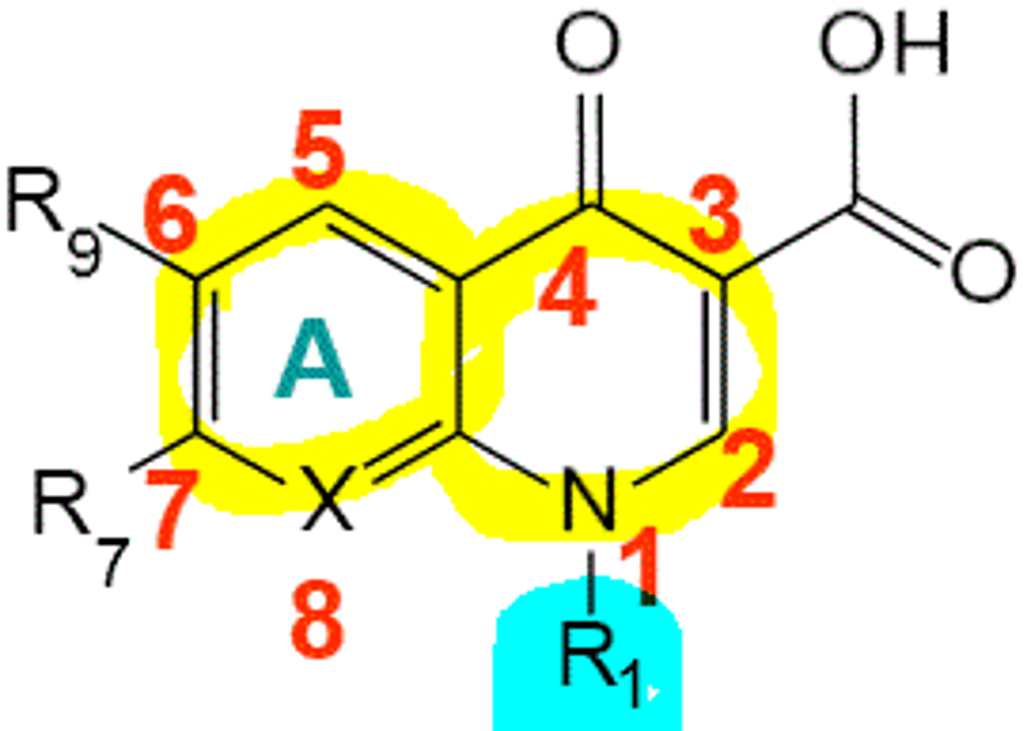 <p>2,3 double bond</p>