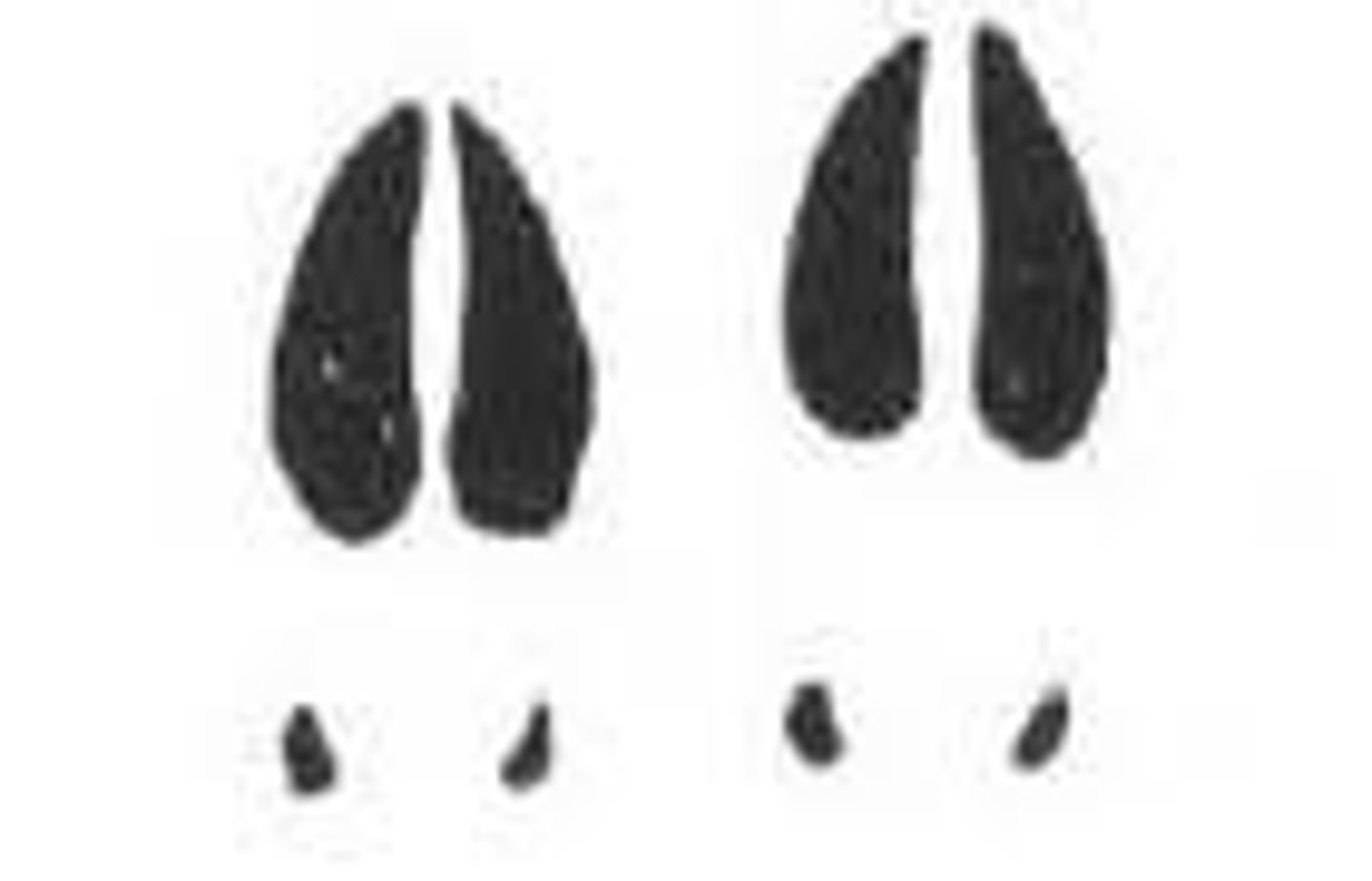 <p>3" long</p>