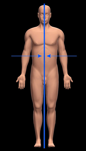 towards the midline