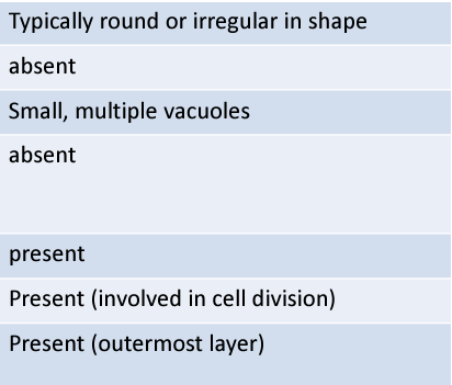 <p>what kind of cell is this?</p>