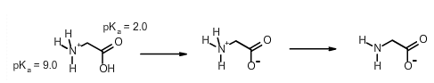 <p>Select the best estimate the net charge on the amino acid glycine at pH 3.0:<br>+1.0</p><p>+0.1</p><p>+0.0</p><p>-0.1</p><p>-1.0</p>