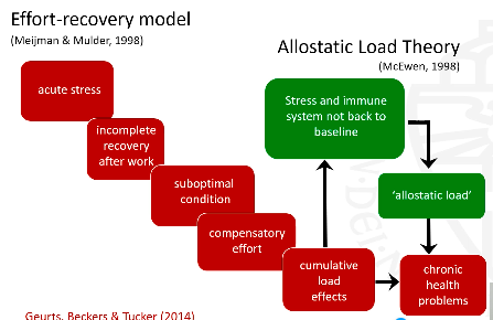 <p>what is the allostatic-load theory?</p>