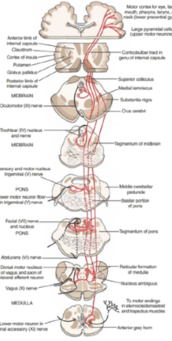 <p>which tract?</p>