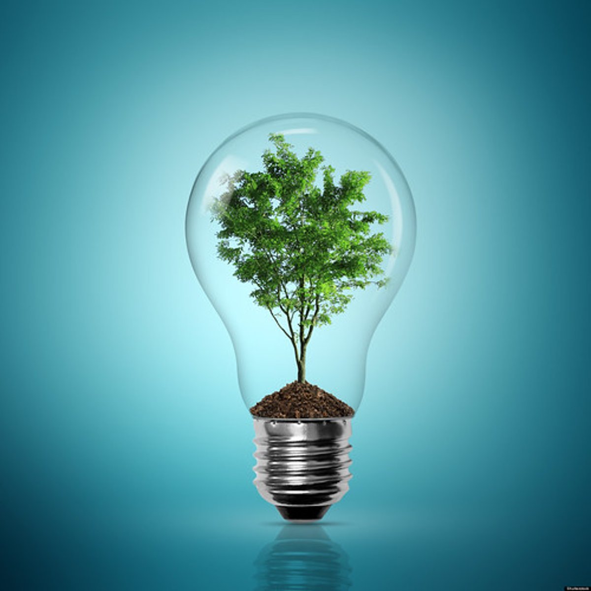 <p>ideology which regards the environmental concerns</p>
