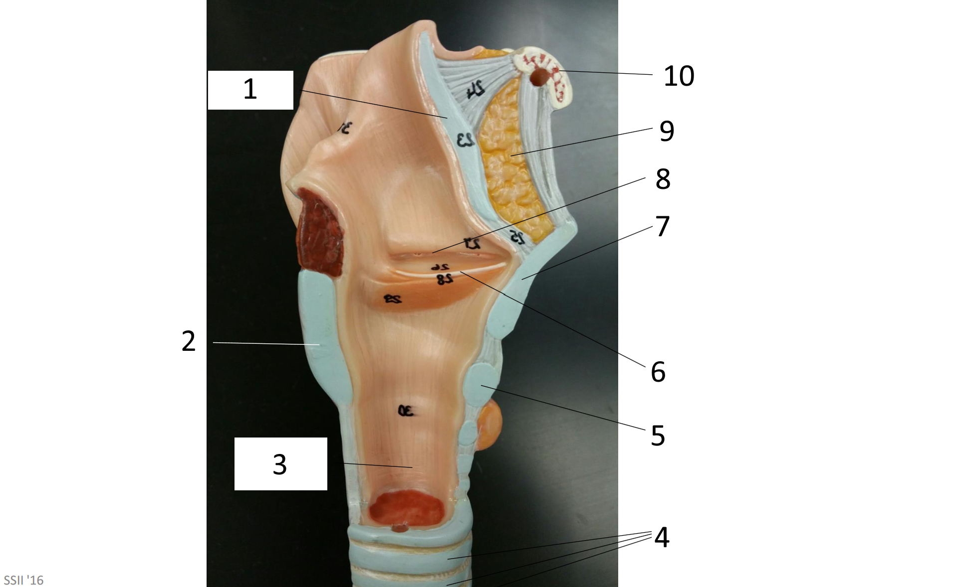 <p>1</p>