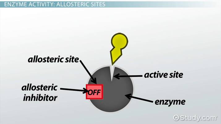 <p>Allosteric site</p>
