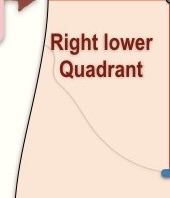 <p>What quadrant is this? </p>