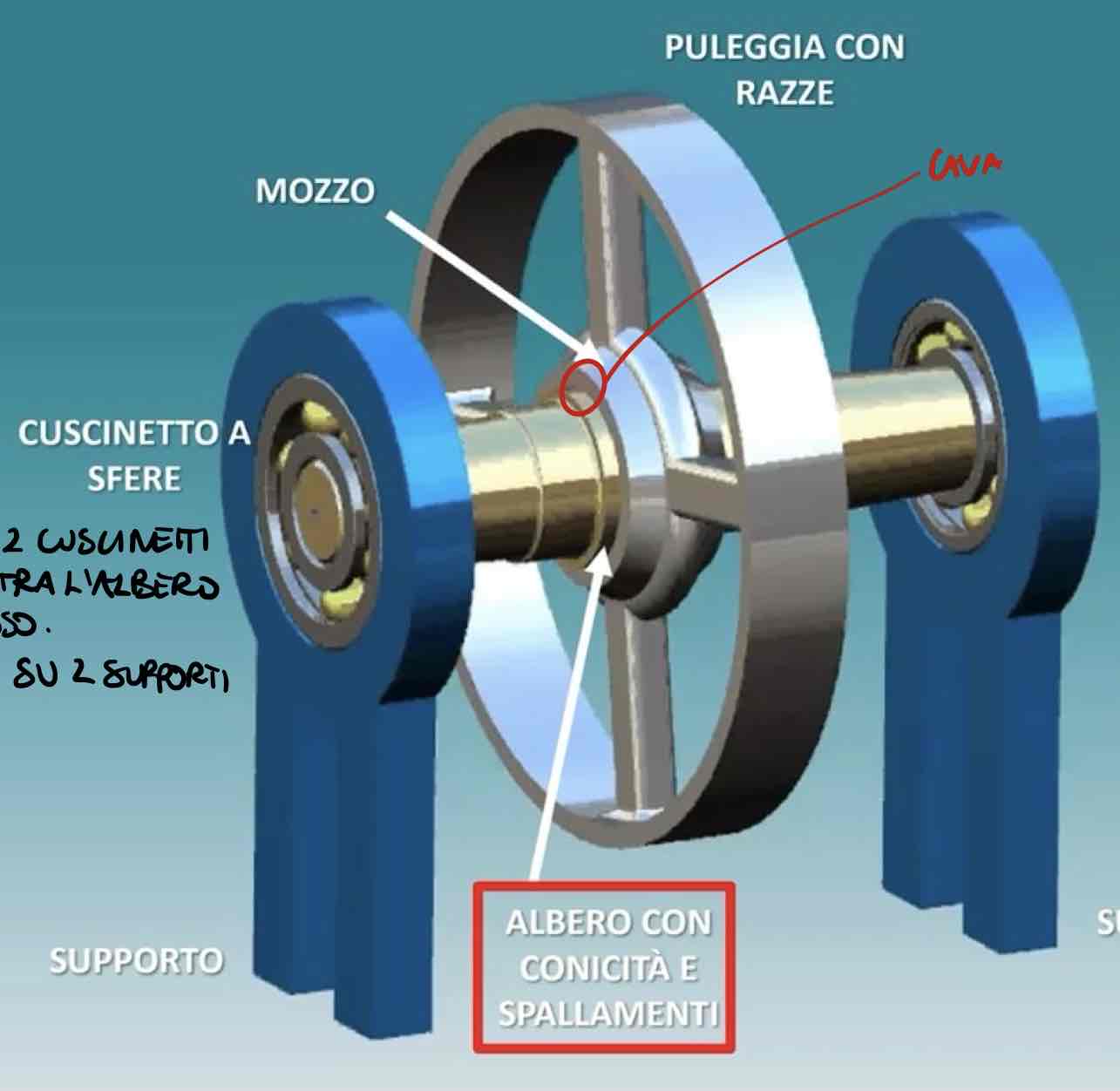 <p>Nell’immagine, l’albero è montato su 2 <strong>cuscinetti </strong>che servono da interfaccia tra l’albero rotante e il supporto fisso, i cuscinetti sono a loro volta montati su 2 <strong>supporti</strong>.</p><ul><li><p>il <strong>moto </strong>viene<em><u> trasmesso</u></em> mediante un <strong>collegamento albero-mozzo</strong></p></li><li><p>il <strong>moto </strong>viene <em><u>ricevuto </u></em>dalla <strong>puleggia</strong></p></li></ul>