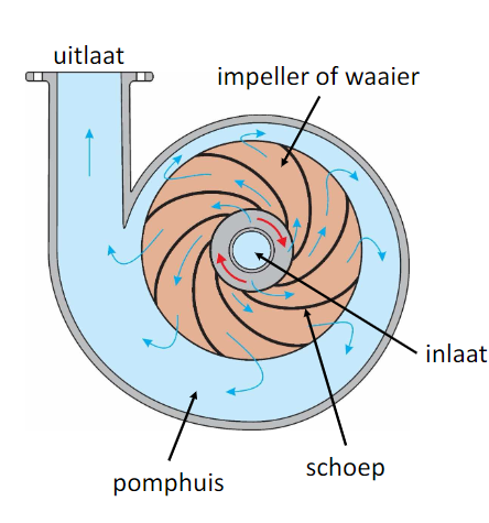 <ul><li><p>turbopomp</p></li><li><p>radiale stroming</p></li><li><p>meest gebruikte type pomp</p></li><li><p>grote opvoerhoogtes bij laag Q</p></li><li><p>open waaier of gesloten waaier</p></li><li><p>niet zelfaanzuigend (je moet dus de pomp vullen met een vloeistof)</p></li></ul>