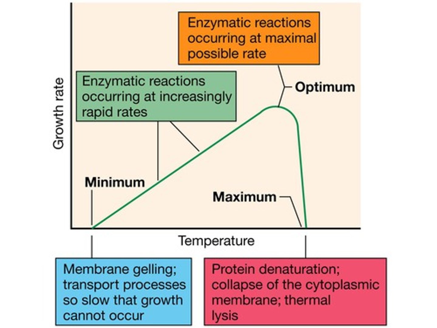 <p>Minimum, maximum and optimal temps</p>
