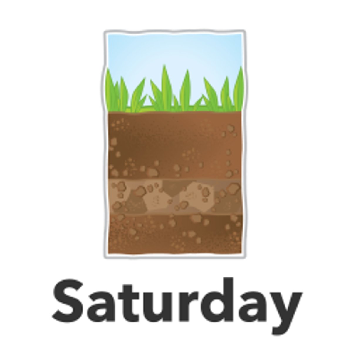 <p>Saturday</p>
