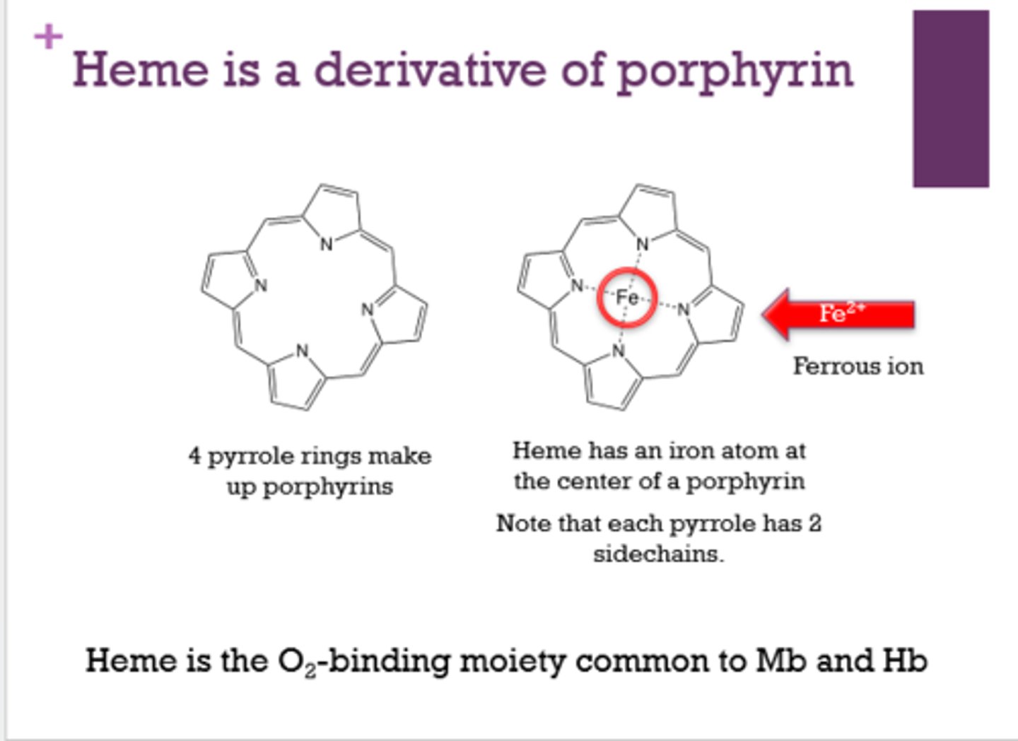 <p>4 pyrrole rings</p>