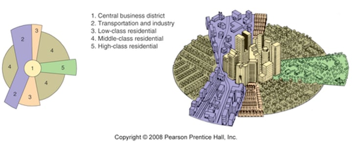 <p>Focuses on residential patterns explaining where the wealthy in a city choose to live. Hoyt argued that the city grows outward from the center, so a low-rent area could extend all the way from the CBD to the city's outer edge, creating zones which are shaped like pieces of a pie. There are five different zones: 1. CBD 2. Transportation &amp; Industry 3. Low-Class Residential 4. Middle-Class Residential 5. High-Class Residential</p>