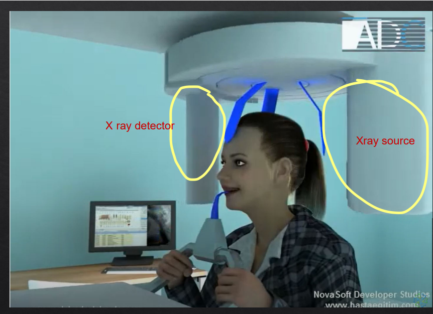 <p>panoramic DPT cont’d</p>