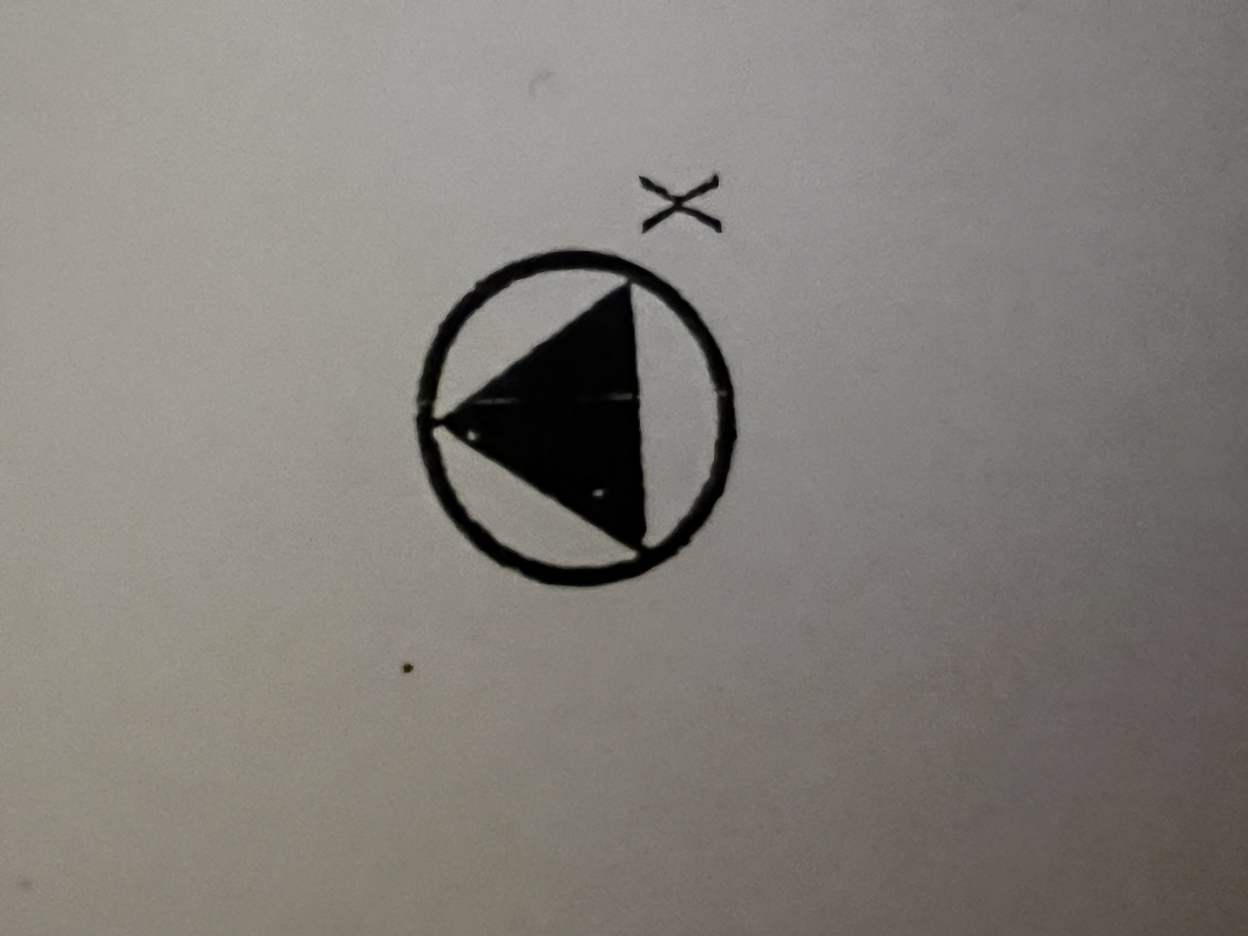 term image