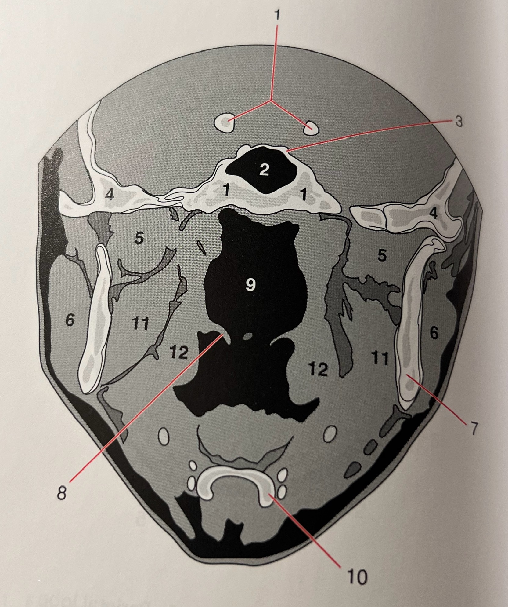 <p>10</p>