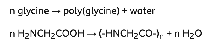 <ul><li><p>condensation polymerisation reaction between two amino acids (acid group of one reacts with amine group of the other)</p></li><li><p>water formed as a by product for every bond formed</p></li><li><p>e.g. glycine → poly(glycine):</p></li></ul>