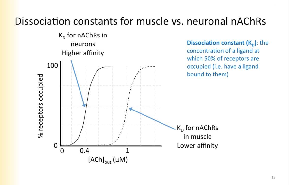 <p>measure of the strength binding</p><p>D= dissasociation</p><p>Greater kd, the more dissociating ligand from receptor</p><p><strong>Kd tells you concentration that will induce binding at 50% of the receptors</strong></p><p>when Conc=kd</p><hr><p>Unbinding rate/binding rate</p><p>PIC: higher Kd- requires more concentration for 50% of receptors to be occupied</p>