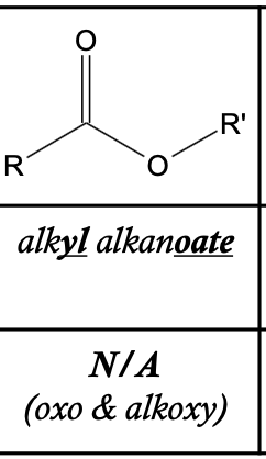 <p>Ester</p>