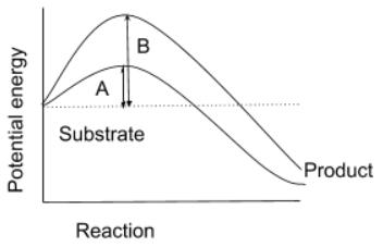 <p>what does A represent</p>