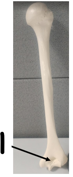 <p>What is this?</p>