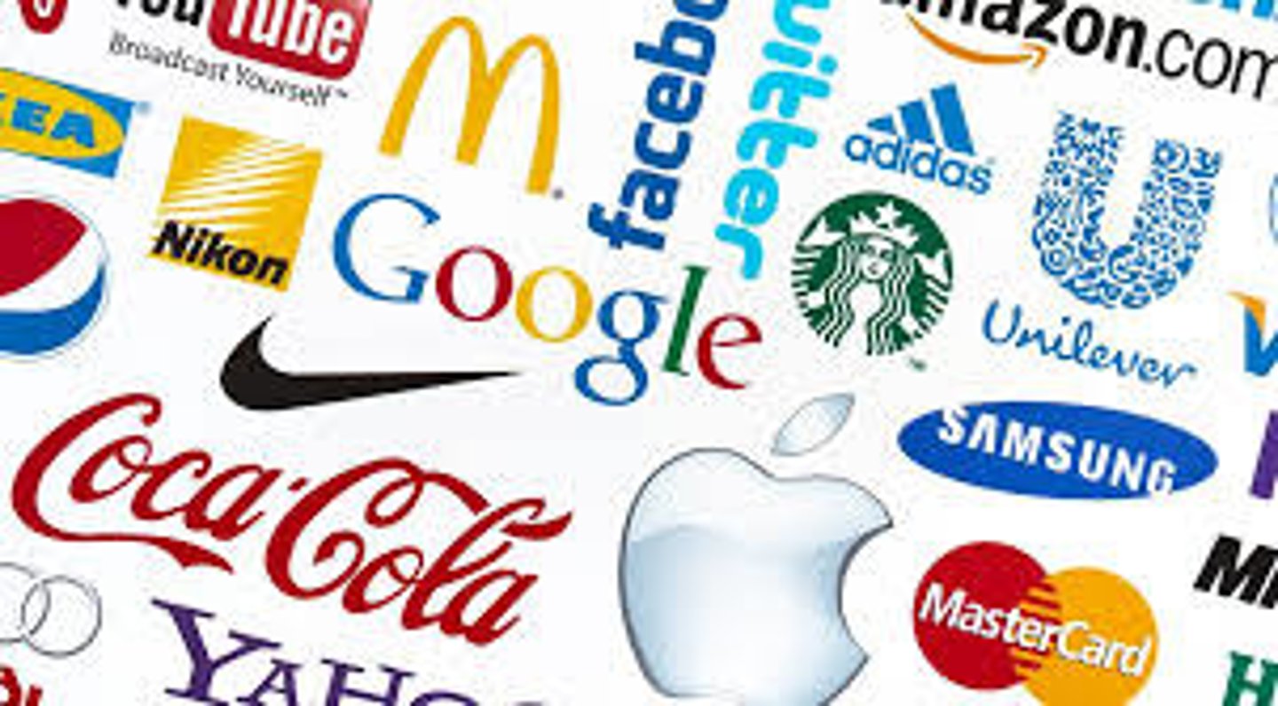 <p>(multinational) company</p>