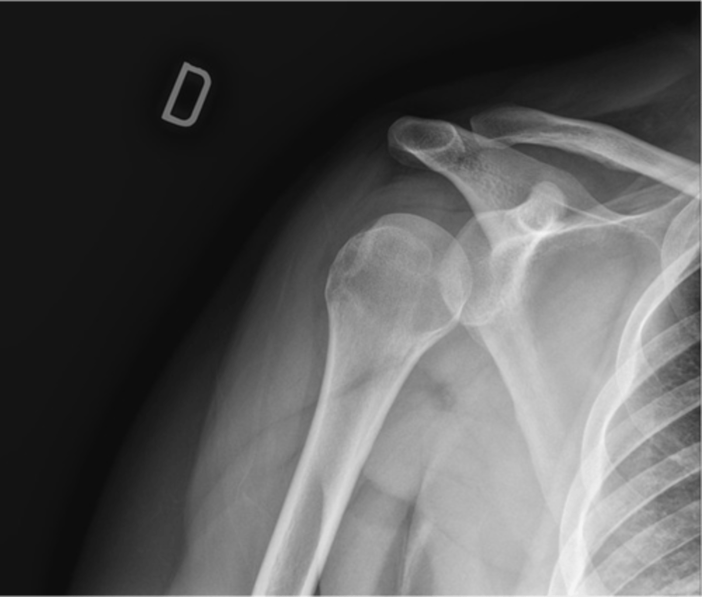 <p>What is this image depicting?</p>