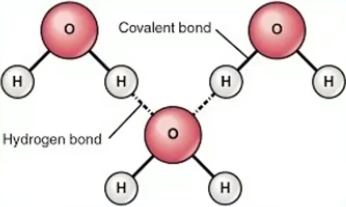 Chemical Bonding