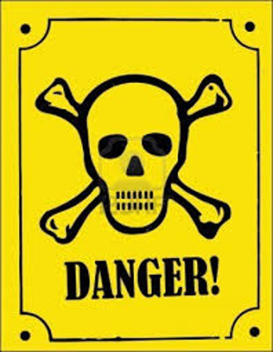 <p>danger</p><p>Syn: risk, hazard, peril</p><p>Ant: safety, security</p>