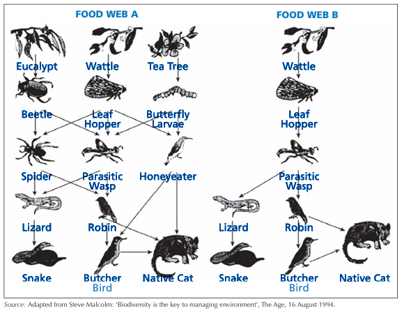 <p>Which food web is healthier? </p>