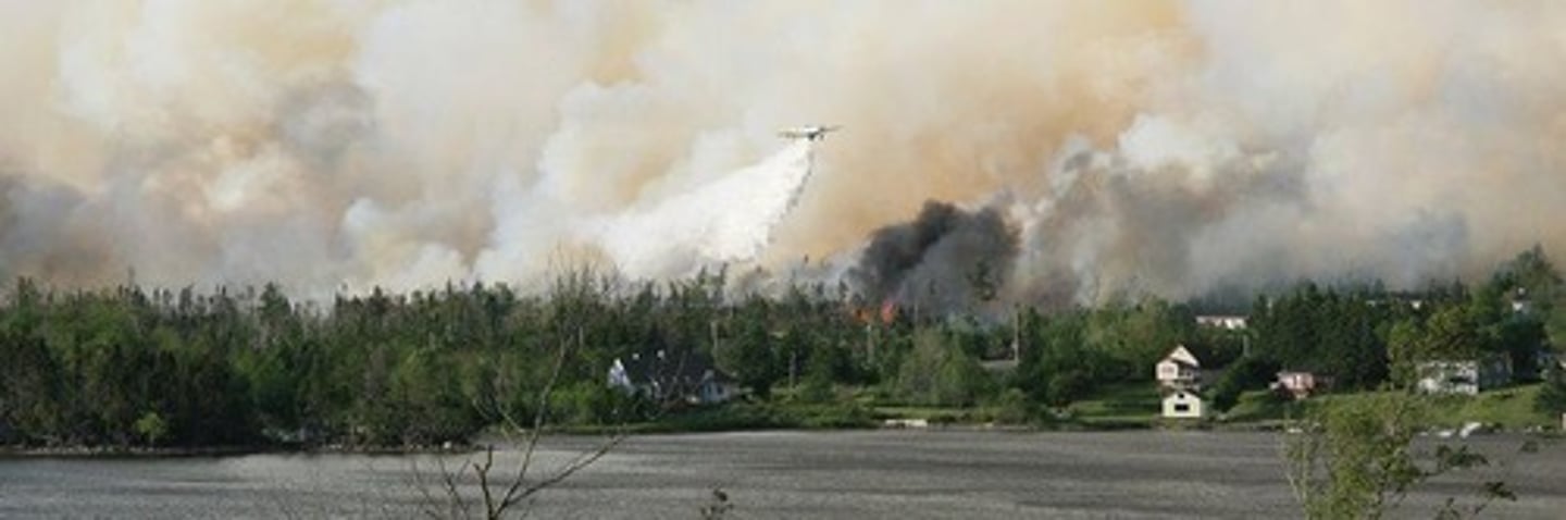 <p>Uncontrolled fires in forests or grasslands posing threats.</p>