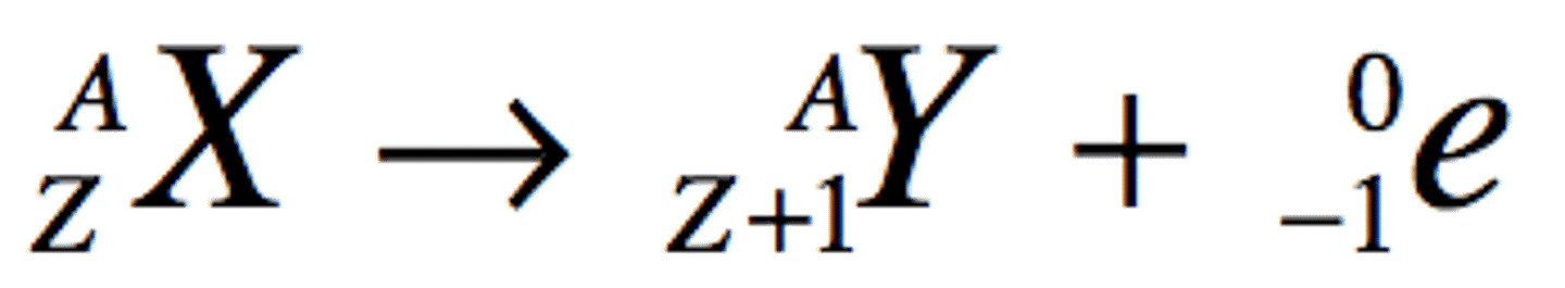 <p>Mass number stays the same and atomic number gains 1</p>