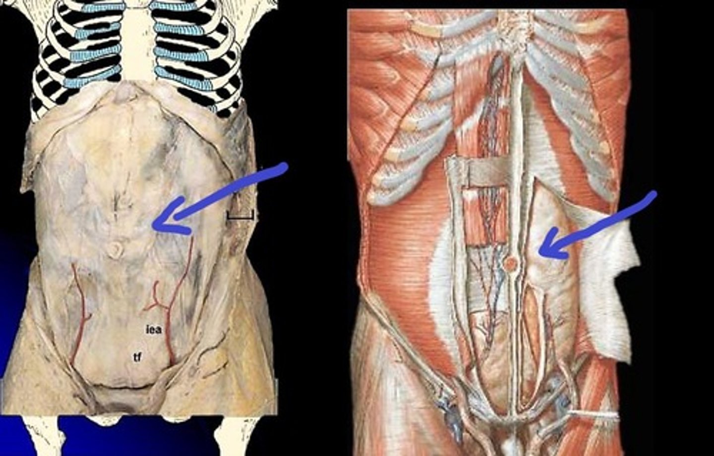 <p>What is this?</p>