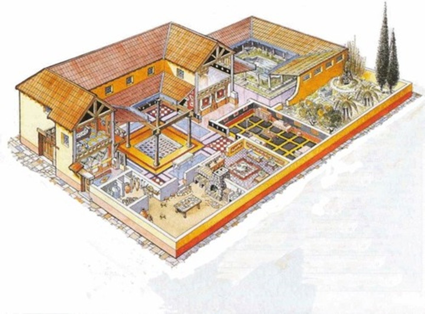 knowt flashcard image