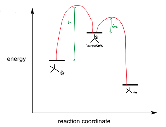 <ul><li><p>reaction proceeds through a carbocation intermediate which is isolatable. the carbocation must be stable.</p></li><li><p>the EA of step 1 is greater than the EA of step 2 (as 1 is the RDS)</p></li></ul><p></p>