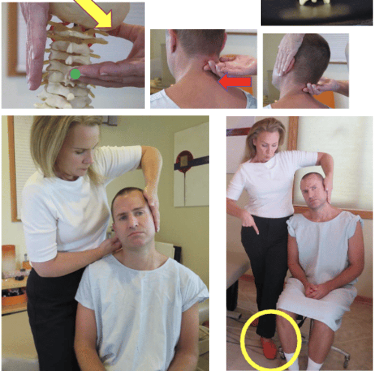 <p>• PP: Seated in a chair with back, asks permission to open gown/contact patient, verbalize finding the segment</p><p>• DP: Stand behind patient, side of contact,TISSUE SLACK AP to SP (L-M), laterally flex over contact, doctor has leg OPPOSITE of contact hand forward</p><p>• CH: 2nd digit on lateral spinous process of contact, palm up, THUMB resting on patient's cheek/behind ear (rat hole)</p><p>• IH: Indifferent hand #1, elbow up and forearm pointing down, fingers pointing down, stabilize opposite occiput and cheek</p><p>• Vec: P-A and L-M (in line with the patient's eyes)</p>