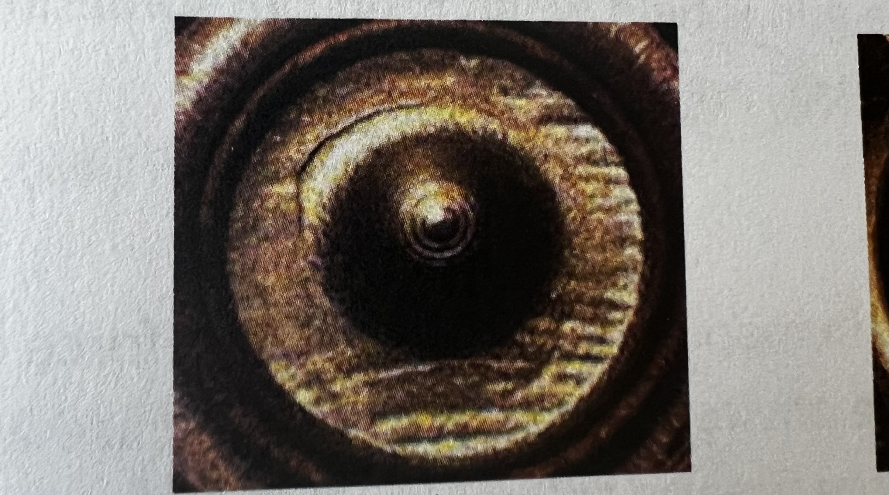 knowt flashcard image