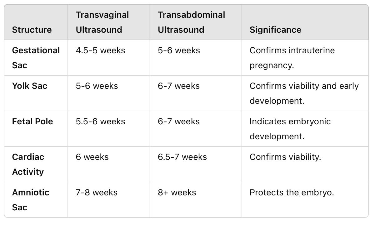 <p><strong>Do not need to memorize </strong></p>