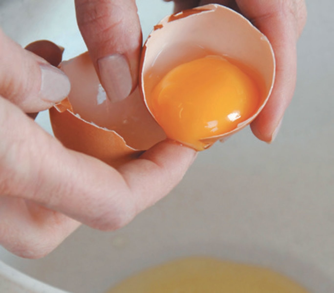 <p>the yolk</p>