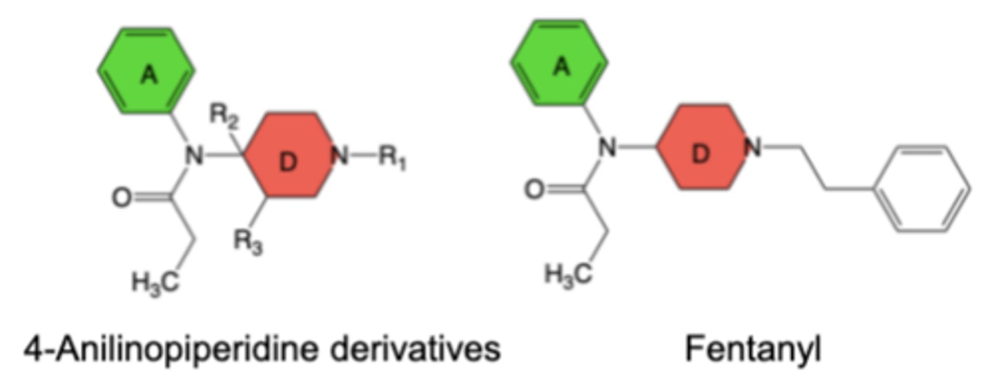<p>Structure-Activity Relationships (SAR) of 4-Anilinopiperidine Agonists</p>