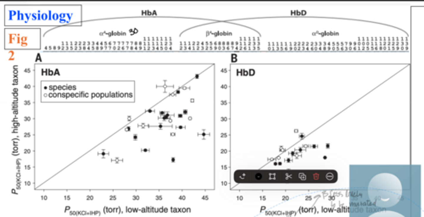 <p>which affinity is lower HbA or HbD</p>