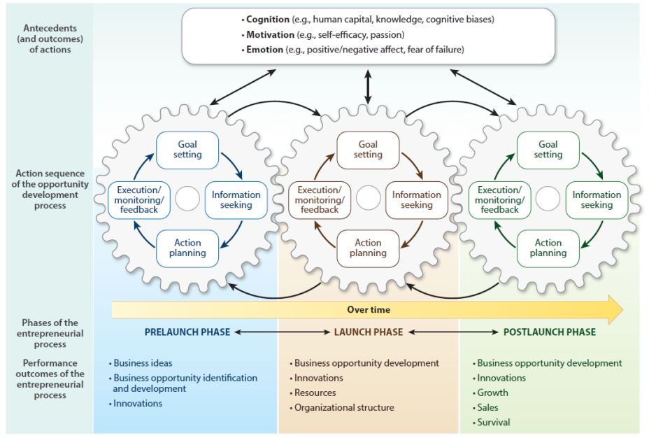 <p>They represent a continuous, cyclical process where each action feeds into and influences the next phase over time.</p>