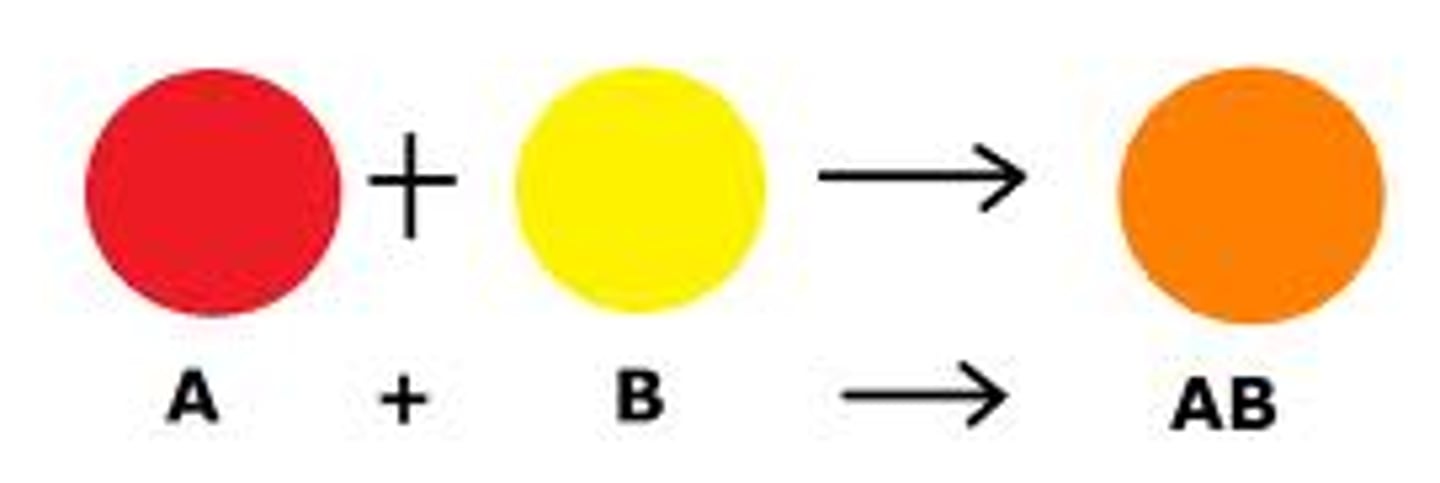 <p>a chemical reaction where 2 or more reactants combine to form a single product</p>
