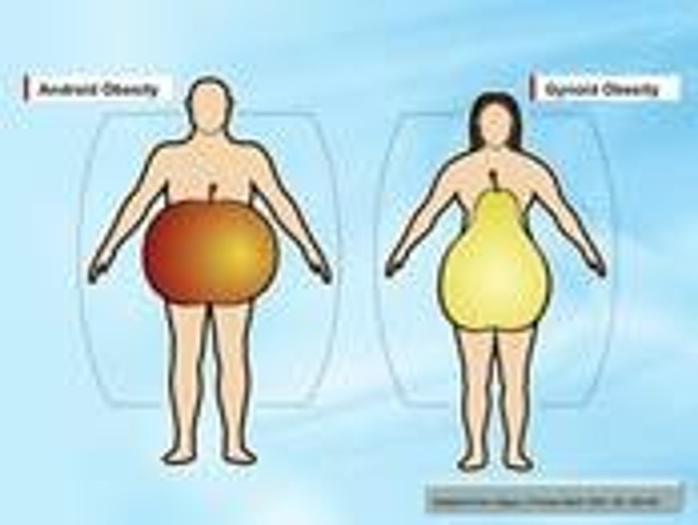<p>: Hàm lượng mỡ cơ thể</p><p>Synonyms: Fat percentage, fat level</p><p>Example: Regular exercise helps reduce body-fat content</p>