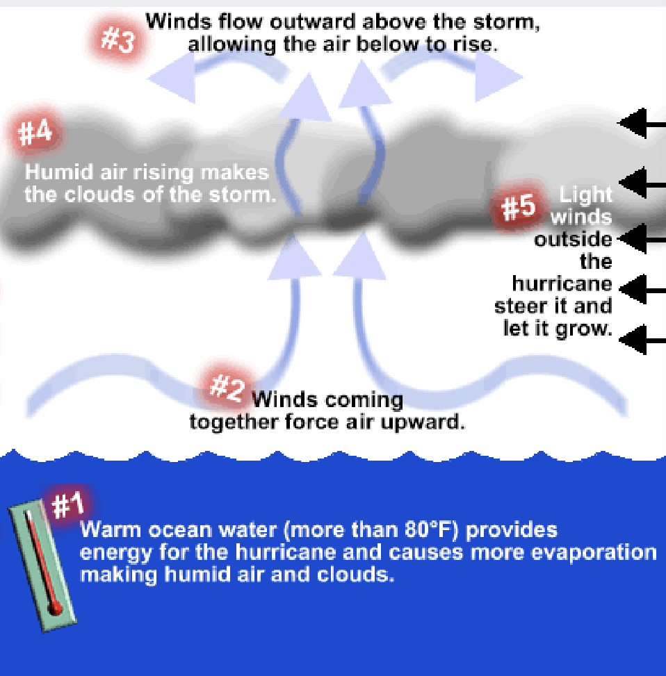 <ul><li><p>High winds</p><ul><li><p>Winds up to 200 mph damage buildings</p></li></ul></li><li><p>Heavy rainfall</p><ul><li><p>causes floods in area where storm passes over; also downstream</p></li><li><p>Most damaging if it coincides with high tide</p></li></ul></li></ul>