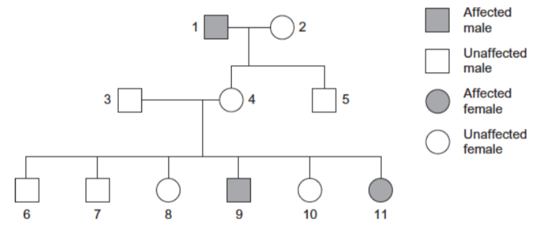 <p>Explain one piece of evidence from the diagram which proves that the allele for Tay-Sachs disease is recessive</p><p></p>