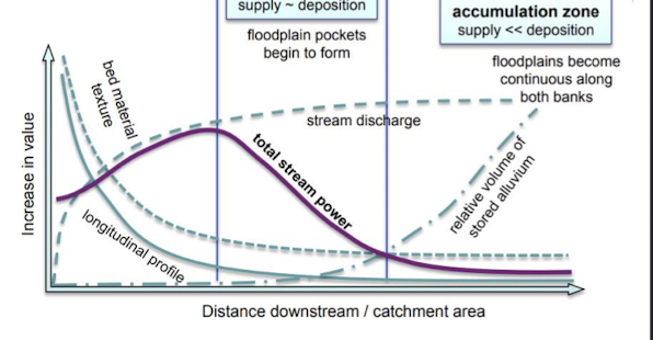 <p>in the headwaters usually supply of sediment is higher than the rate of deposition, therefore stream power acts on the supply</p><p>in the transfer zone floodplain pockets begin to form, supply/sedimentation and deposition are more equal</p><p>in the depositional zone the supply is less than, therefore floodplains are continuous and deposition is constant</p>