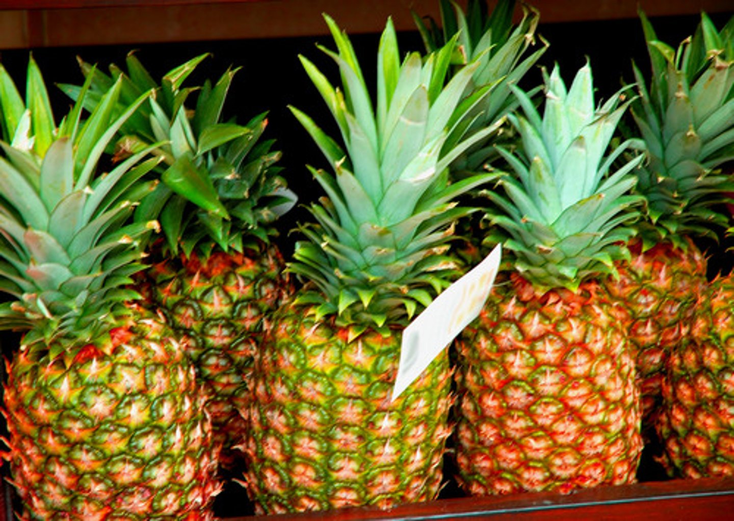 <p>pineapple</p>