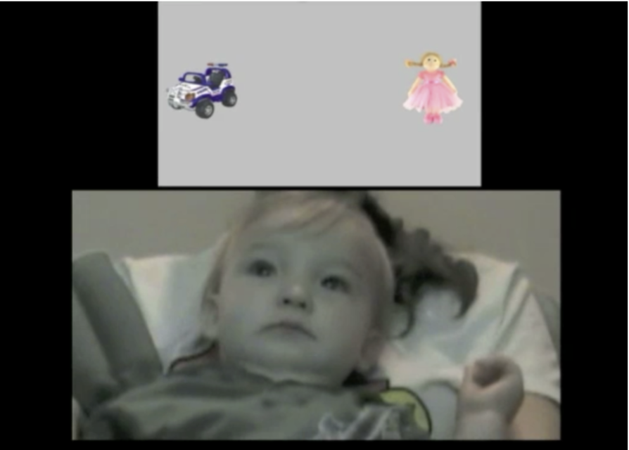 <p>1.&nbsp;&nbsp;&nbsp;&nbsp; started with attention getter: to orient their gaze to the center first</p><p>2.&nbsp;&nbsp;&nbsp;&nbsp; present infants with truck (male-type toy) vs. a doll (female-type toy)</p><p>3.&nbsp;&nbsp;&nbsp;&nbsp;the infants looked back and forth but made a selection with respect to which one they wanted to look at longer</p><p>4.&nbsp;&nbsp;&nbsp;&nbsp; hypothesis: if males have a preference toward certain colors, then boys will look at blue longer than they look at pink at 9 months old</p><ul><li><p>this hypothesis cannot be confirmed until subsequent testing</p></li><li><p> we would know that boys could prefer blue over pink OR truck over doll BUT not both at the same time or why they do</p></li></ul><p><em>6.&nbsp;&nbsp;&nbsp;&nbsp; alternative explanations: </em>dolls have more curvature and trucks are more angular = its difference in respect to the kind of visual features</p><p></p><p>conclusion: children have a preference for whatever toy they were socialized to play with during early life</p>